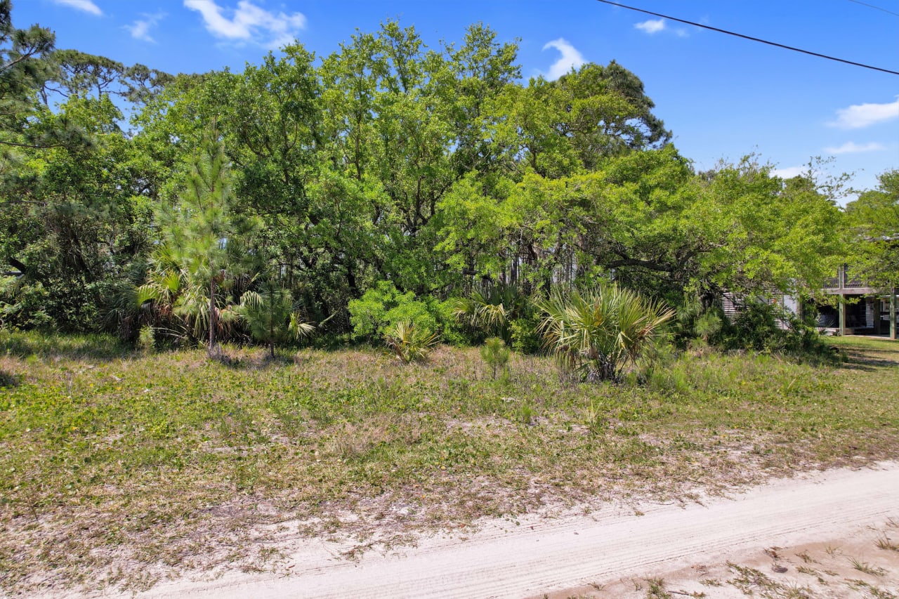  A ground-level view of a vacant plot of land with trees and grass, possibly in a residential area.