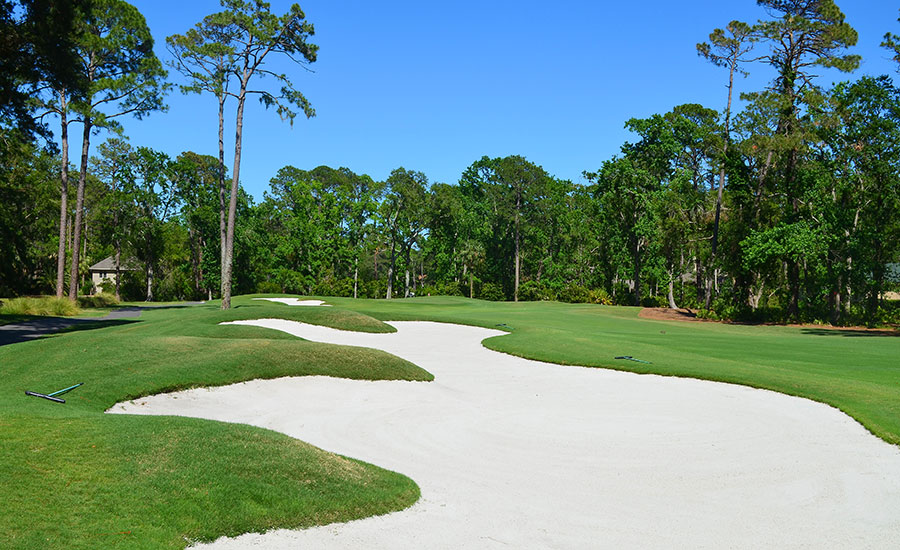 Sea Pines Country Club bunker and fairway
