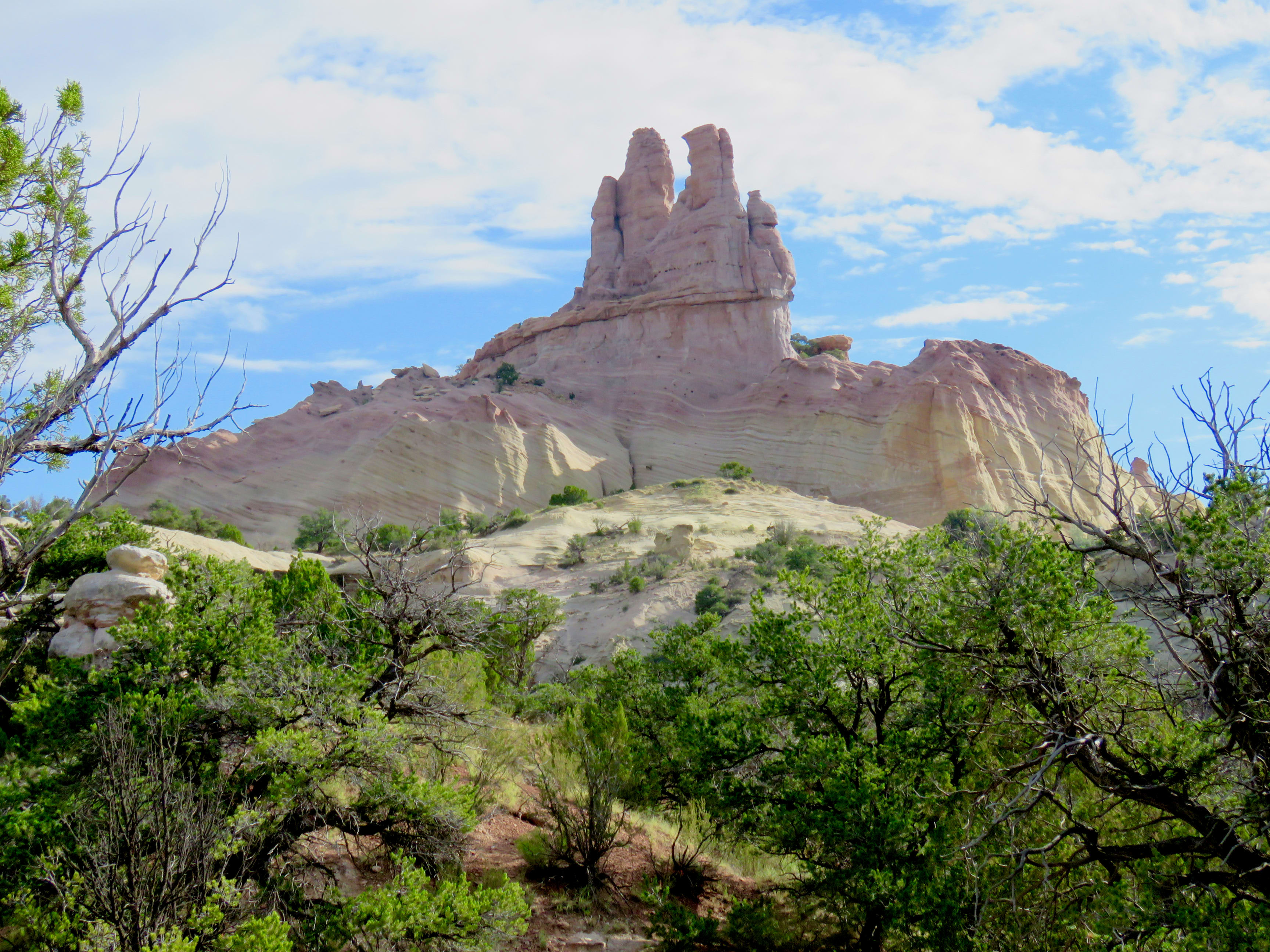 Realty One of New Mexico