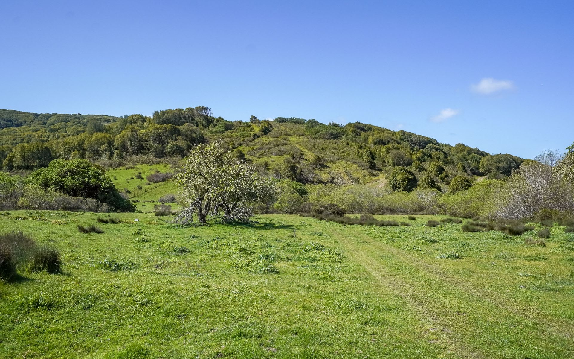Video | Martinelli Ranch | Peter Maselli