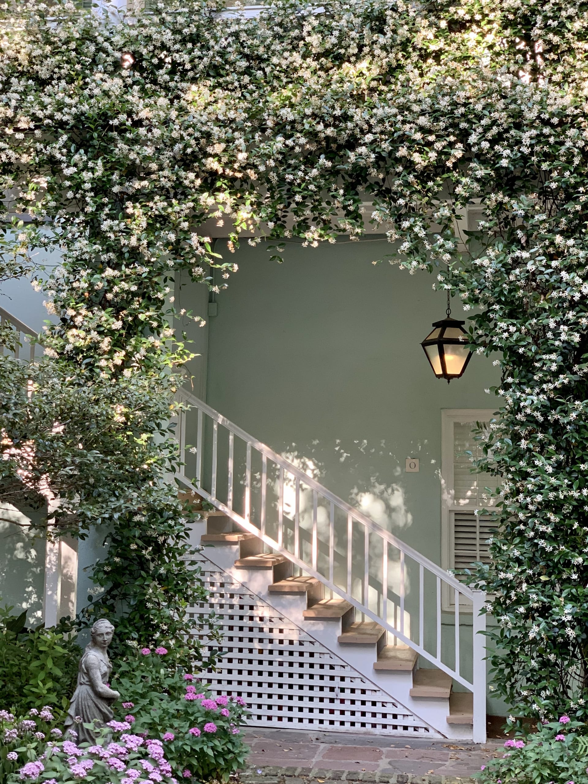 Island House Real Estate