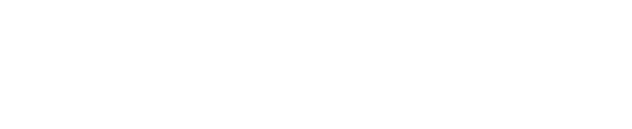 Premier Realty TN LLC Light Logo