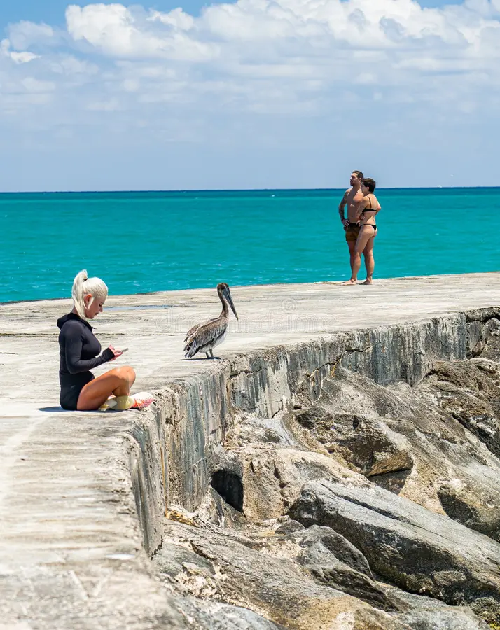 Bal Harbour Oceanfront Condo Pricing