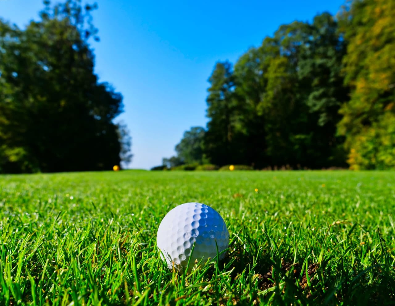 Close-up of a golf ball resting on a lush green golf course under a bright blue sky.