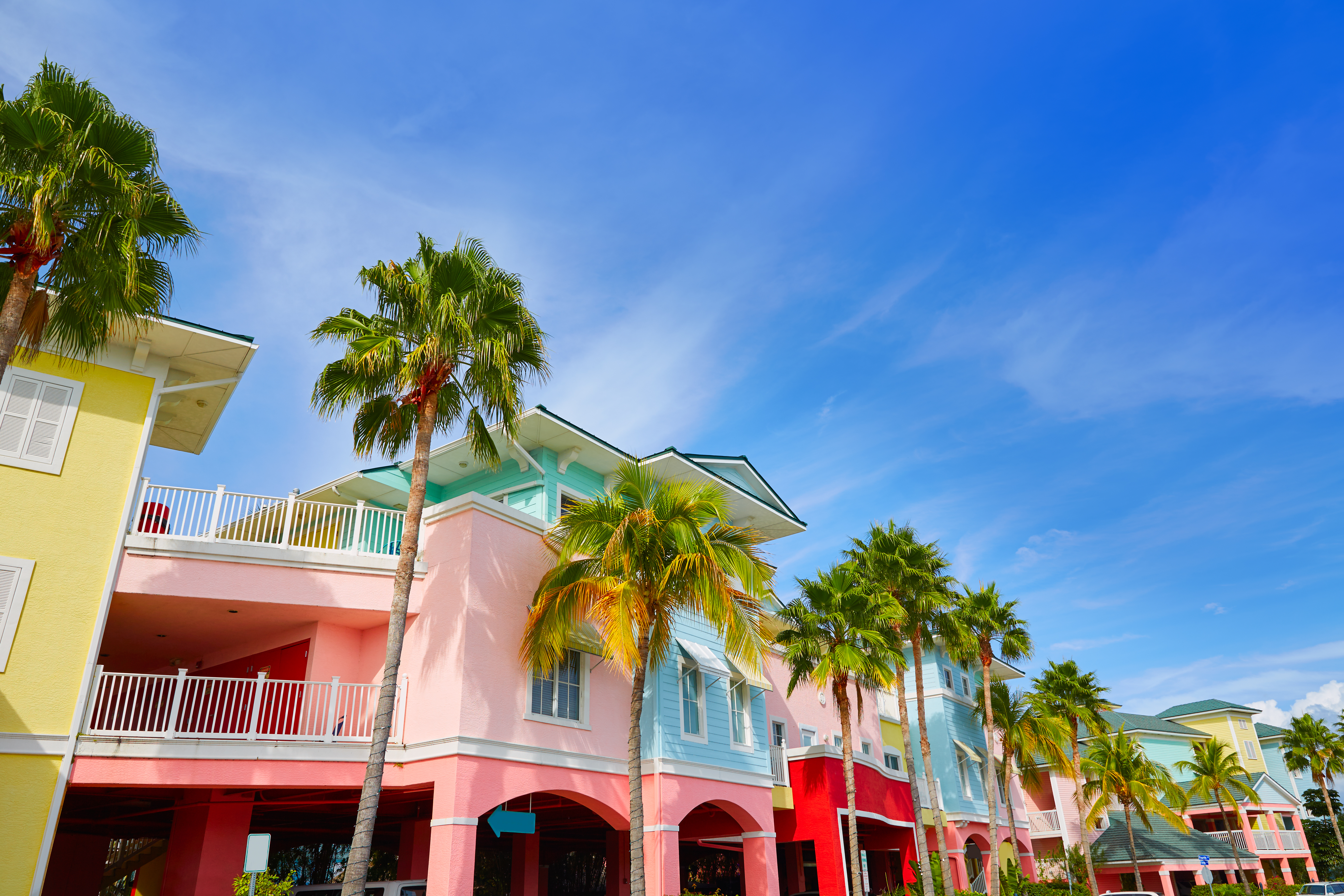 Palm-lined and waterfront lifestyle along McGregor Boulevard