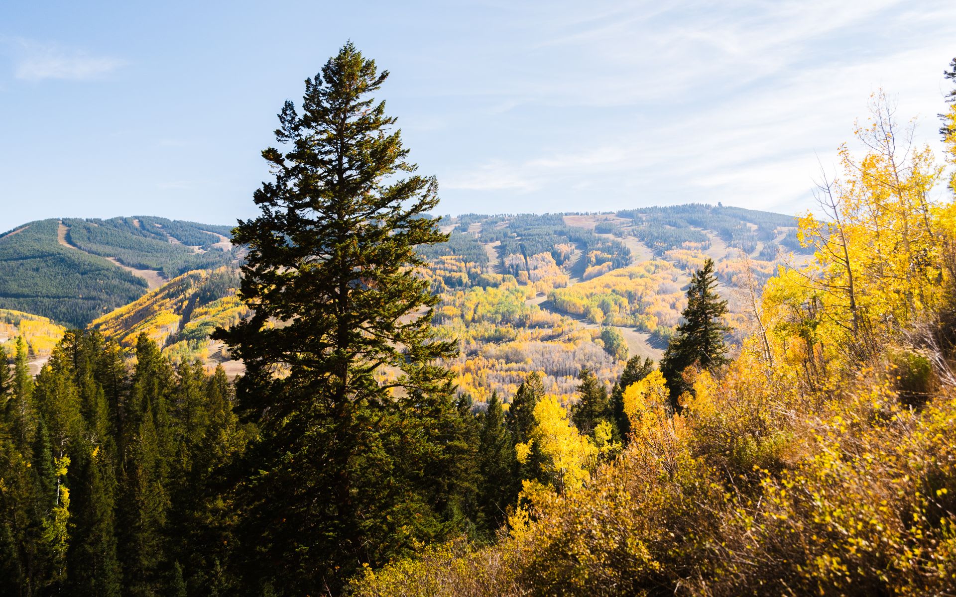 EagleVail image