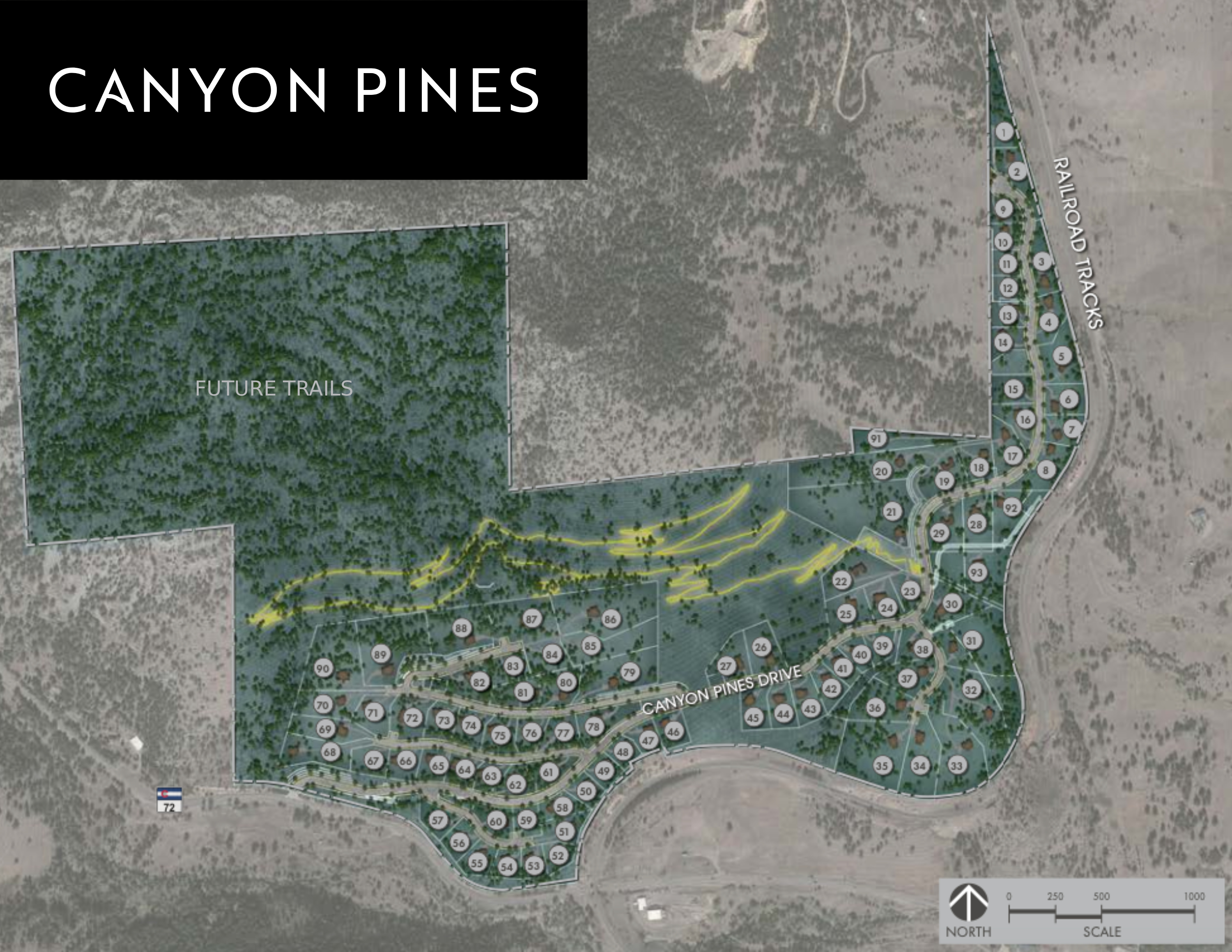 Canyon Pines Landscape