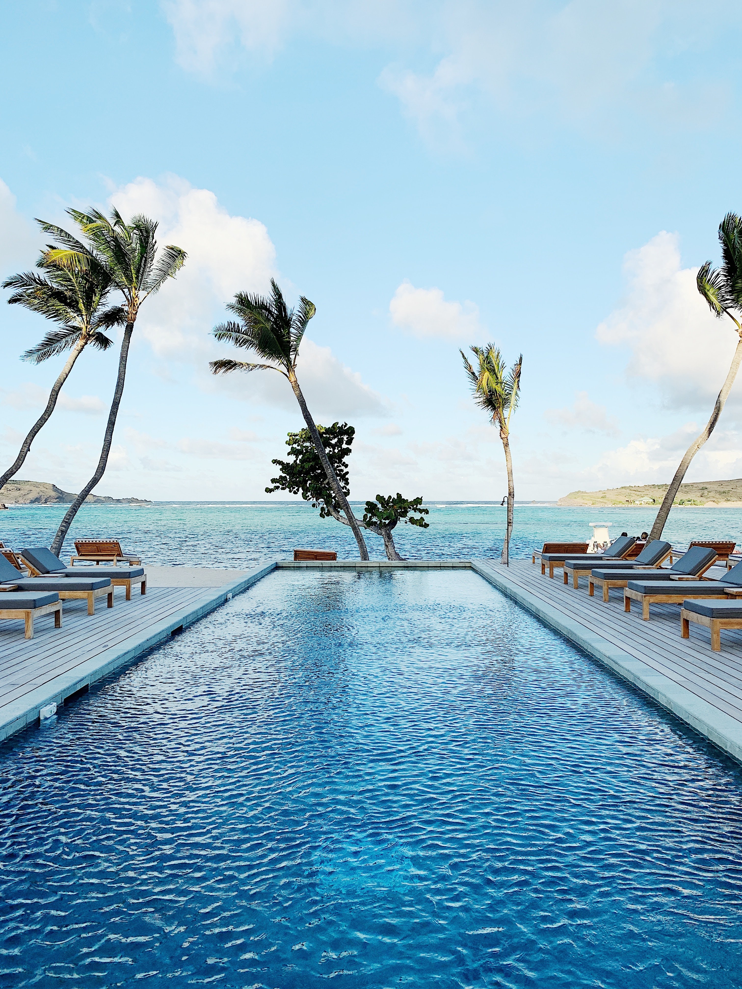 Infinity pool with calm blue water, surrounded by lounge chairs, overlooks a serene ocean. Tall, swaying palm trees frame the picturesque scene.