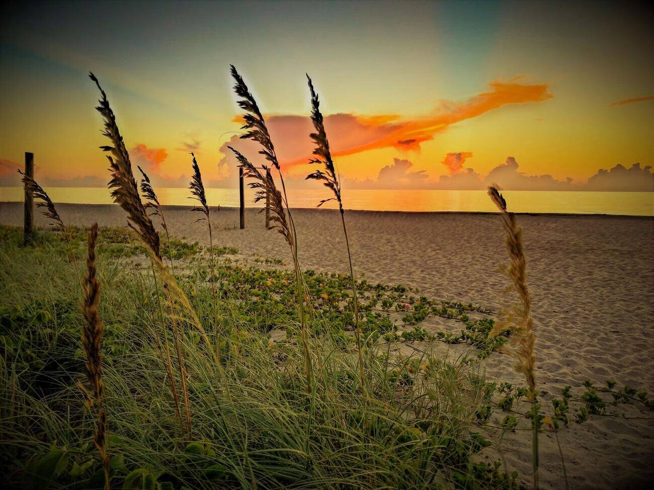 Golden sunset over sea oats and dunes on the Vero Beach barrier island, Florida — generational wealth choosing luxury coastal real estate
