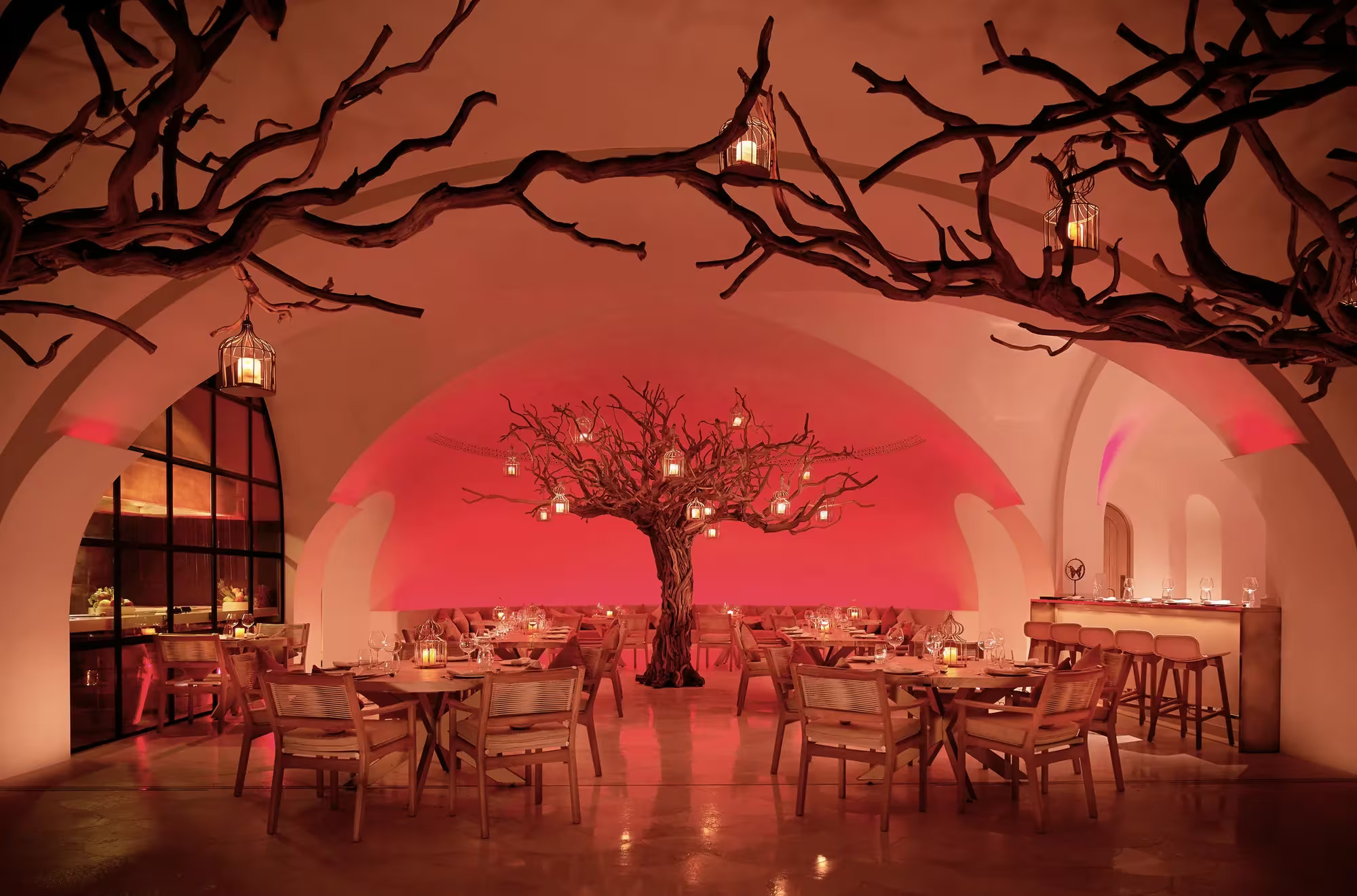 Arbol Las Ventanas - Image 2