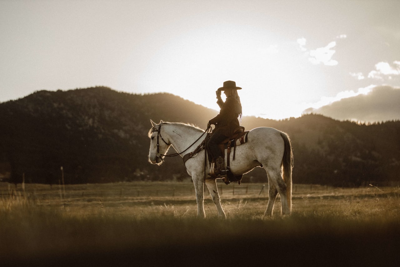 A person rides a white horse in a field bathed in the warm light of the setting sun.