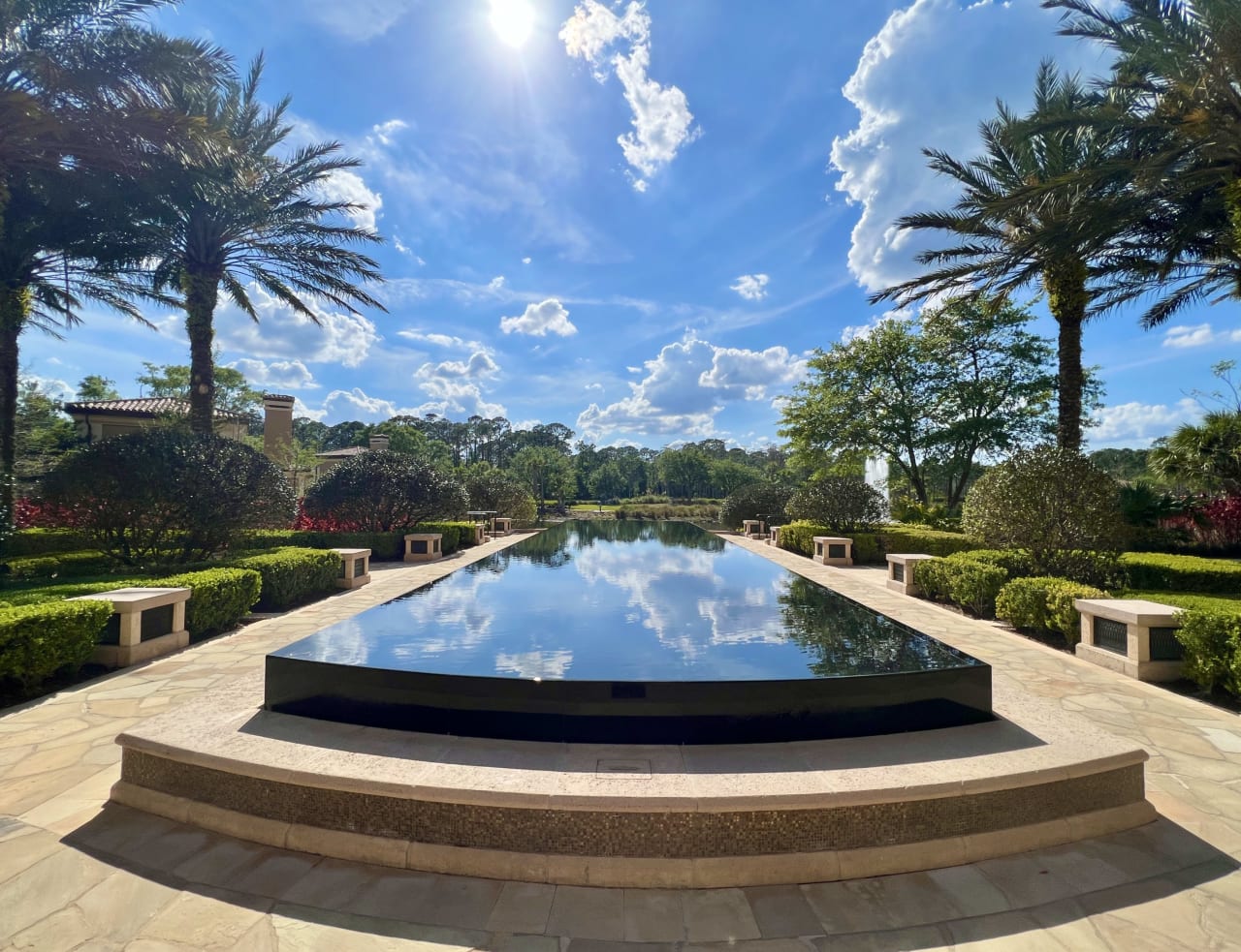 A swimming pool on a concrete deck surrounded by palm trees and green fronds on a sunny day.