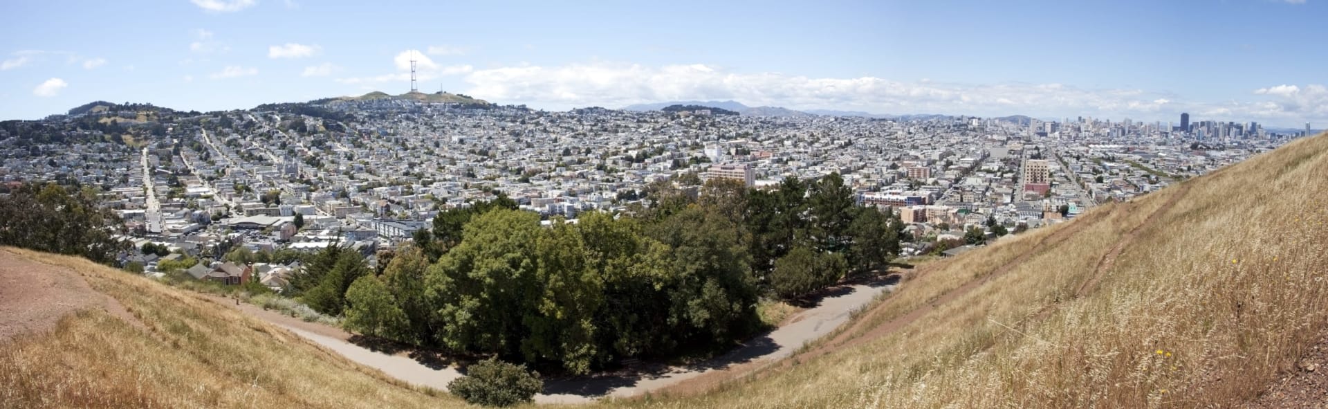 Curated visual reference: Noe Valley High End Real Estate Reference: Noe Valley San Francisco Homes For Sale Real Estate