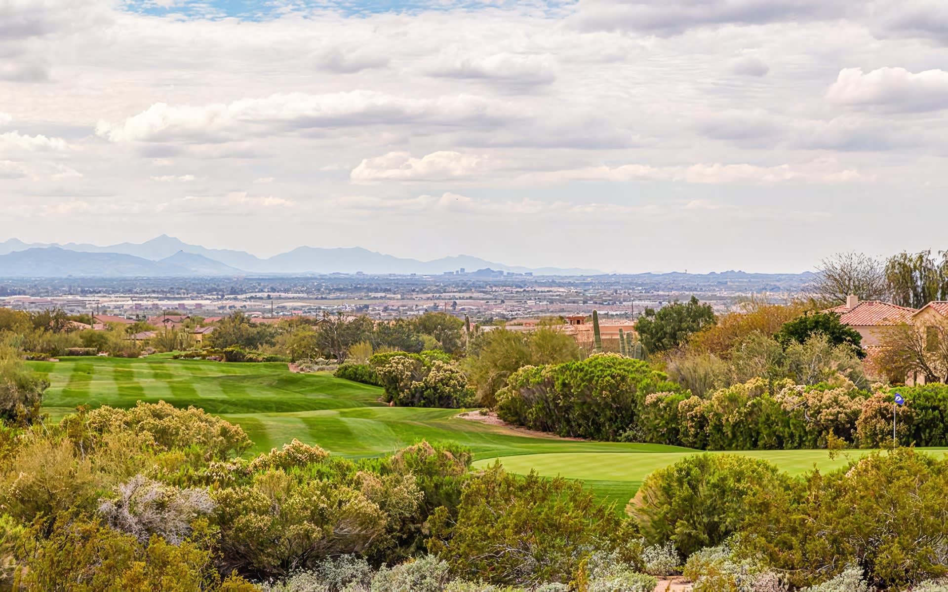Land for Sale in Mesa, AZ | Shar Rundio Team