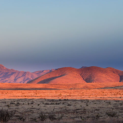 A desert landscape with mountains in the background.