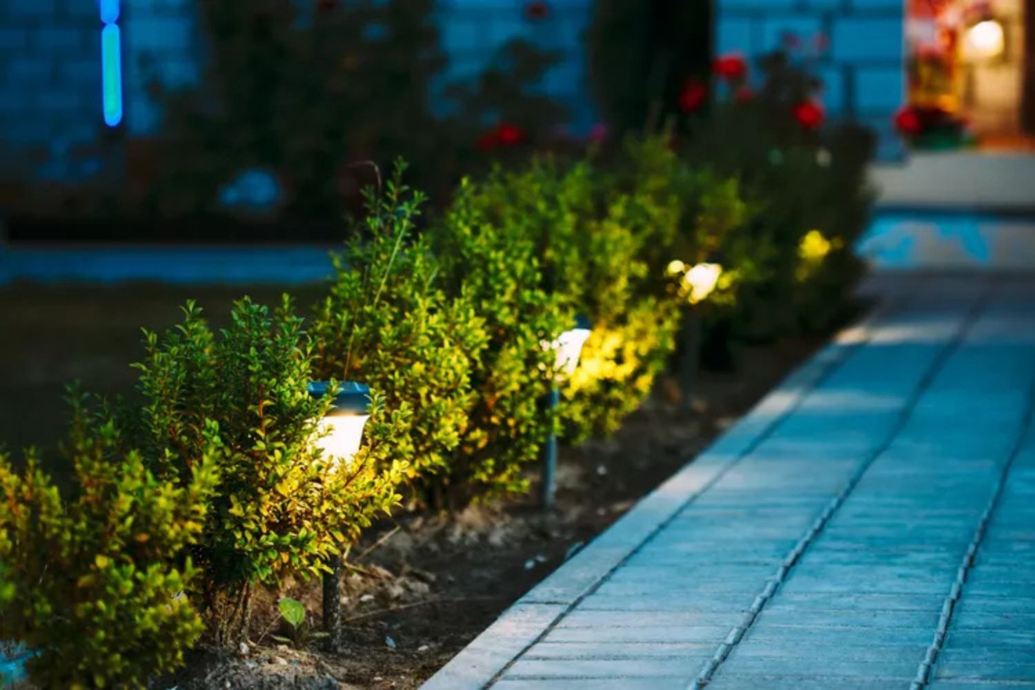 Landscape lighting on a Washington DC home exterior at dusk — curb appeal after dark in Upper Northwest DC