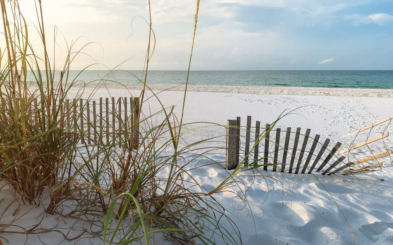 A broken wooden fence on a sandy beach.