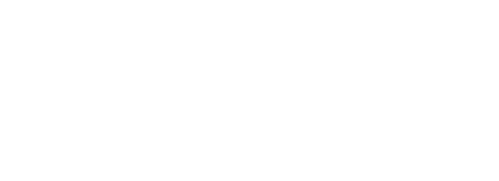 Caine Luxury Team - Logo
