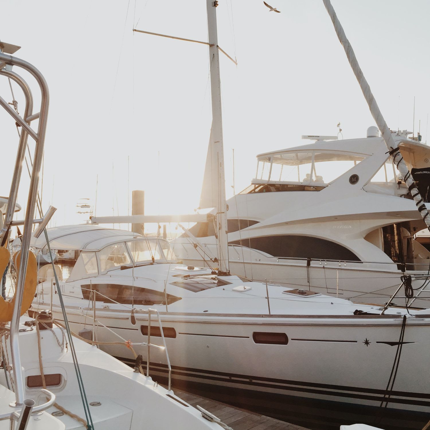 Boats at the marina, including a large yacht with a cabin and blue stripe on the hull.