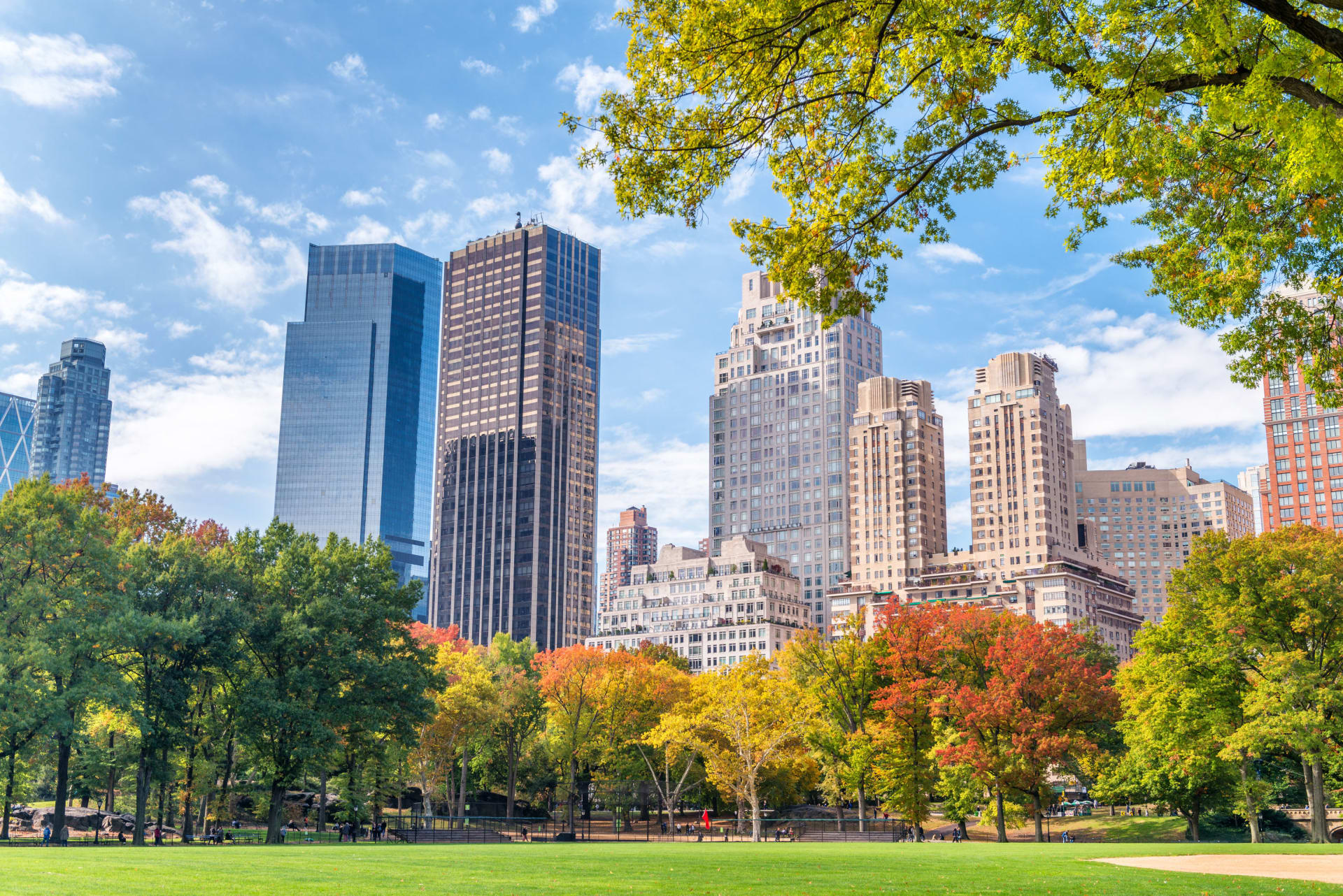 A view of a city skyline from a park. In the foreground, there are trees with different colors.