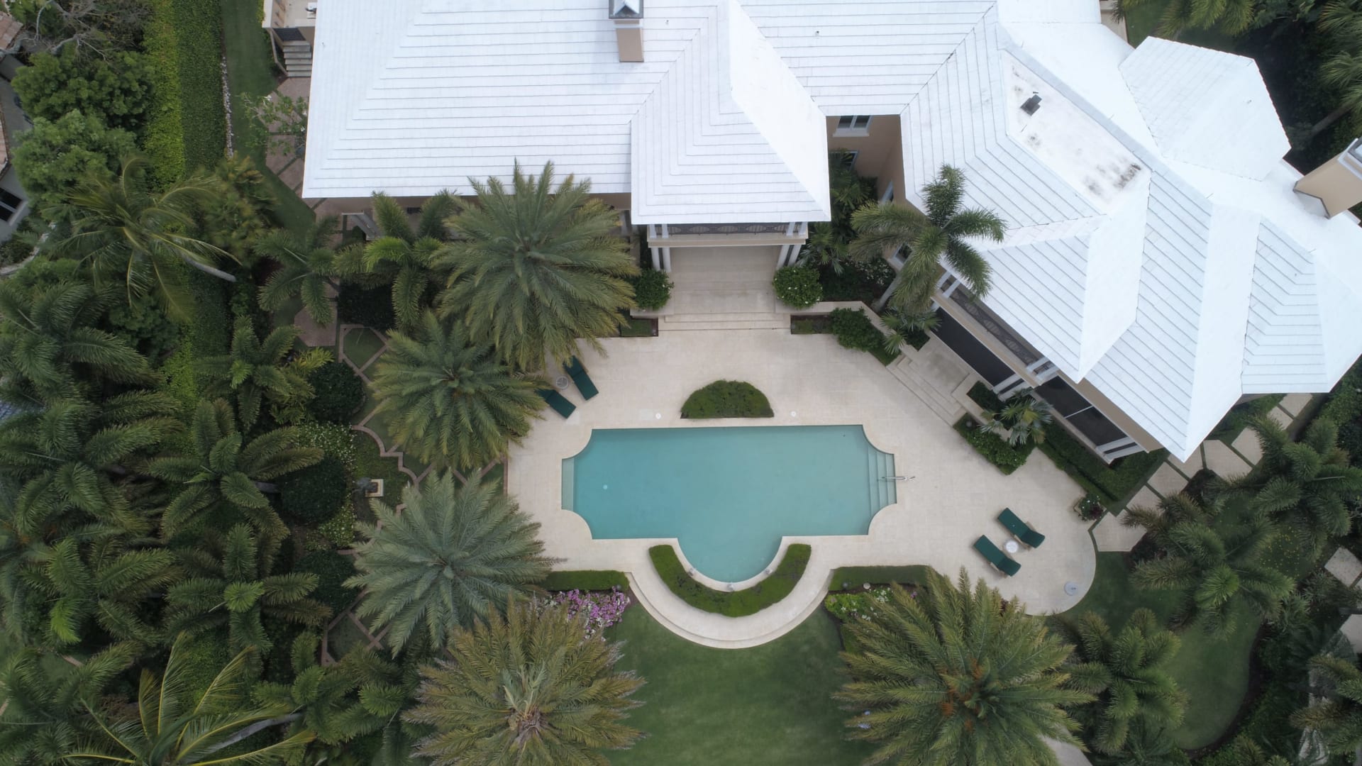 aerial perspective of a luxury home with pool, surrounded by palm trees in Seminole Heights Tampa