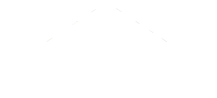 Lanser Caicedo Group logo