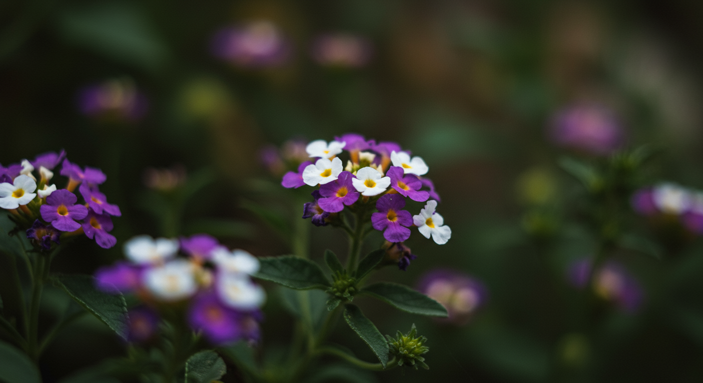 Best Annual Flowers for Full Sun Sweet Alyssum