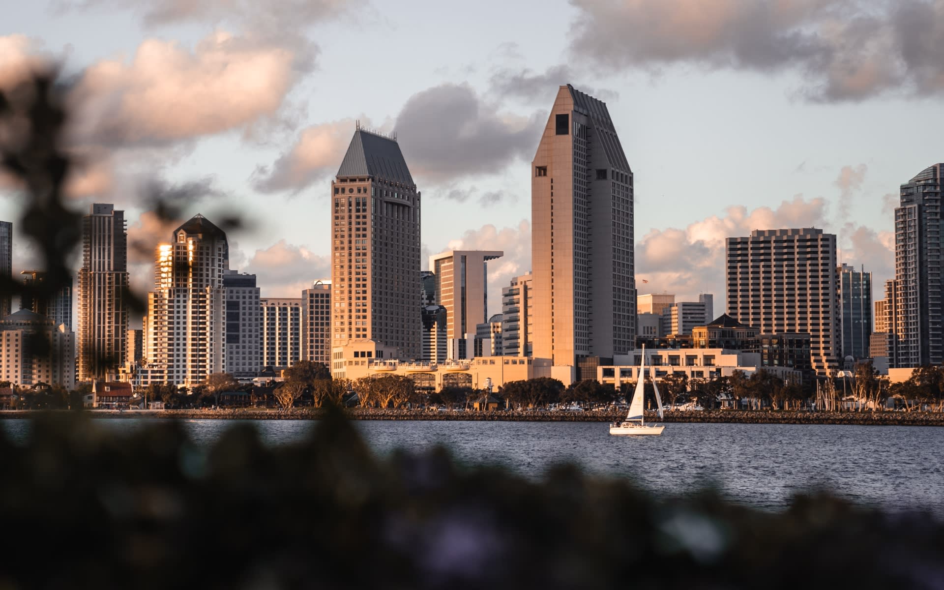 Downtown San Diego condos and skyline